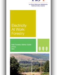 Electricity at Work - IFSG 804 thumbnail