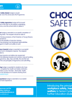 Choose Safety Flyer thumbnail