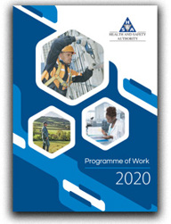 Programme of Work 2020 thumbnail