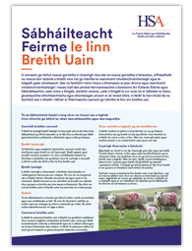 Sábháilteacht Feirme le linn Breith Uain thumbnail