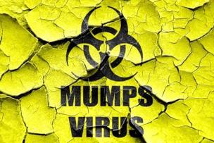 Mumps Virus Mumps Virus