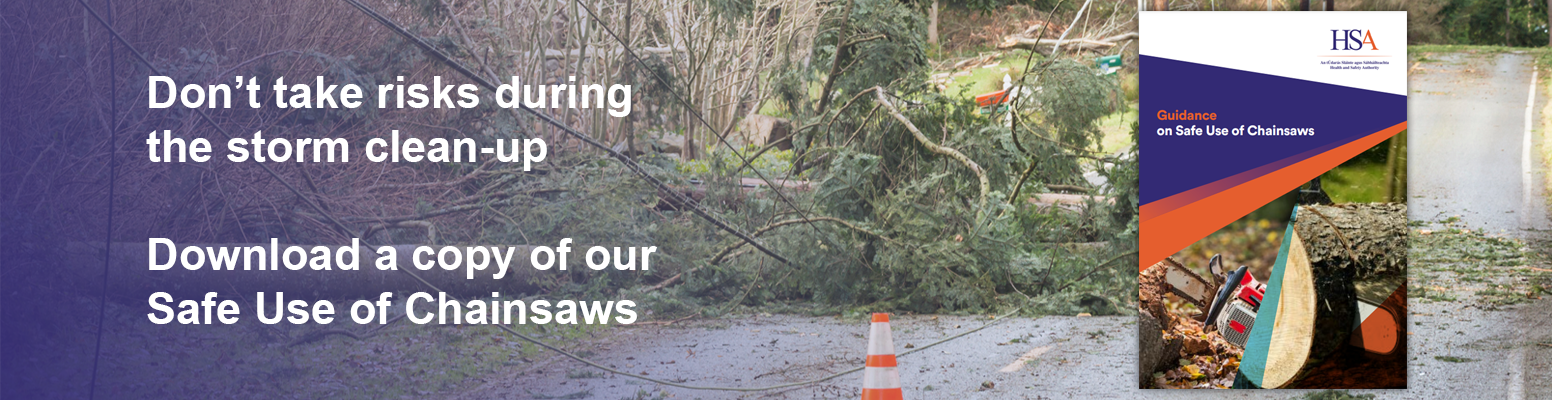 Safe Use of Chainsaws - Storm 2025